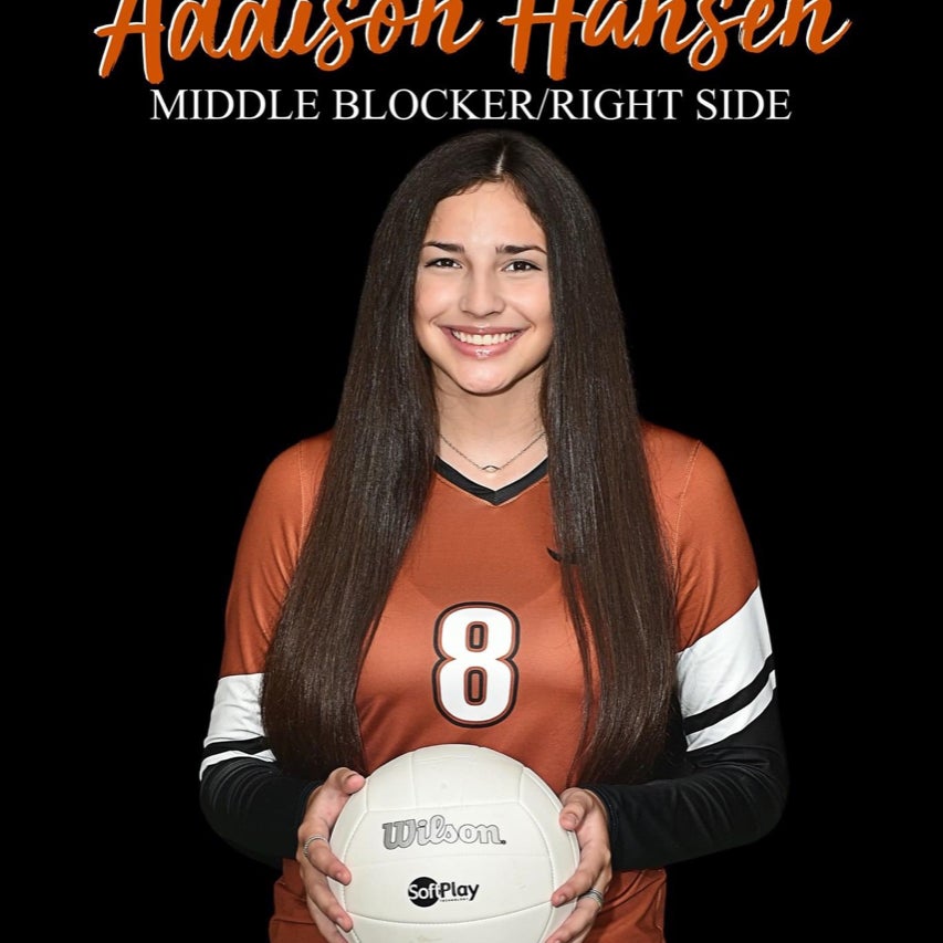 Addison Hansen mugshot