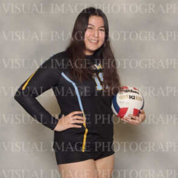 Viviana Ramirez mugshot