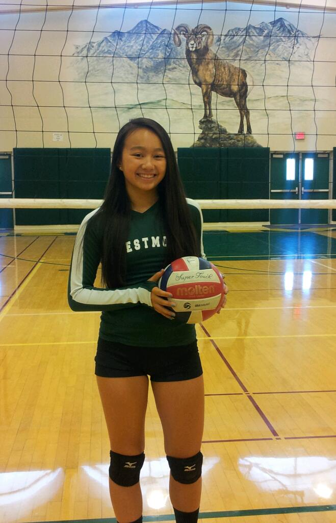 Megan Ho mugshot