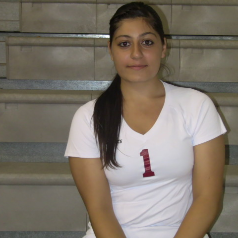 SEDA ALADZHYAN mugshot