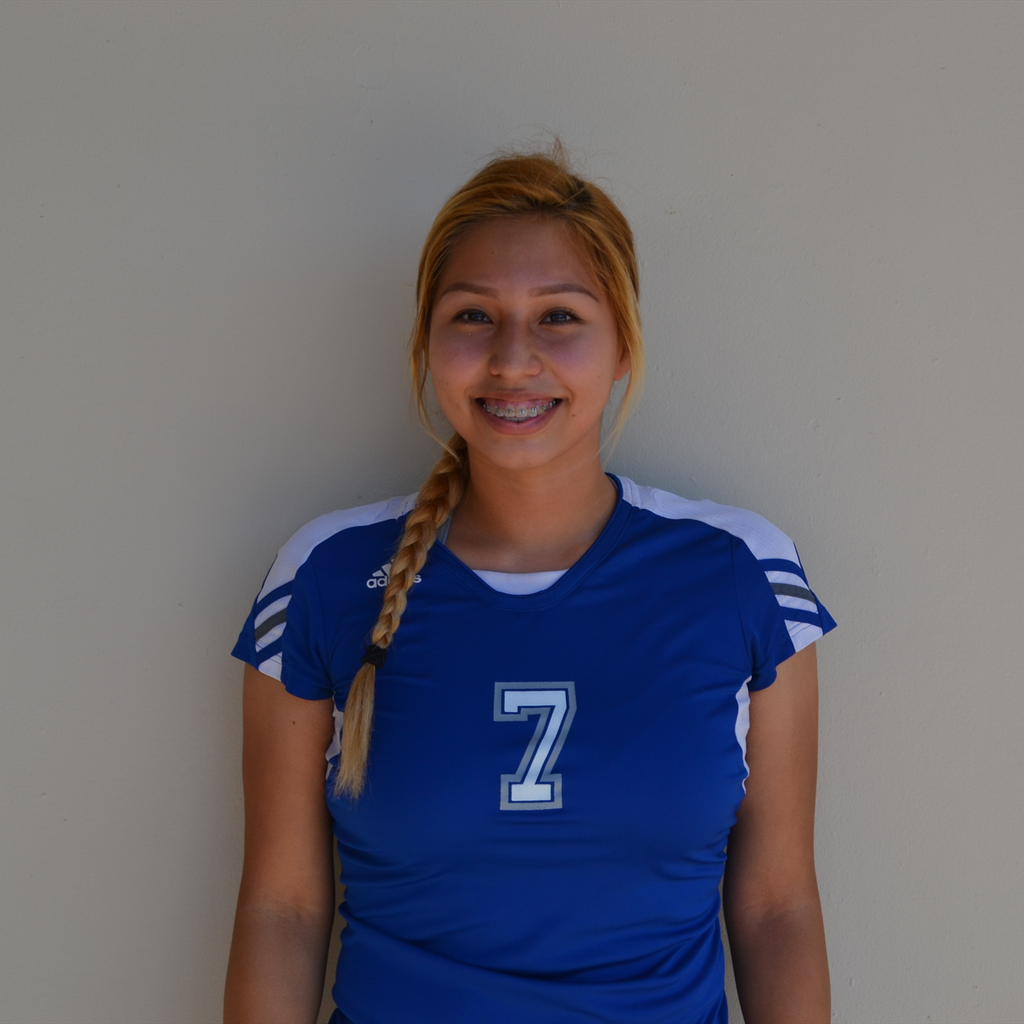Erika Ortiz mugshot