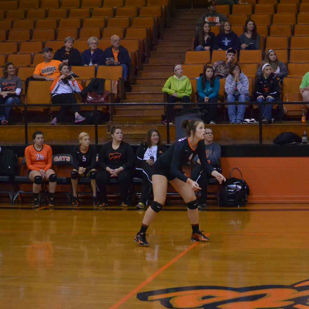 Makenzie Werkmeister