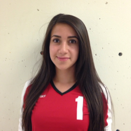 Karen Medina mugshot