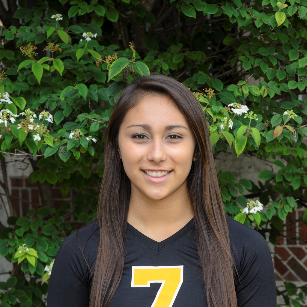 Taylor Noyola