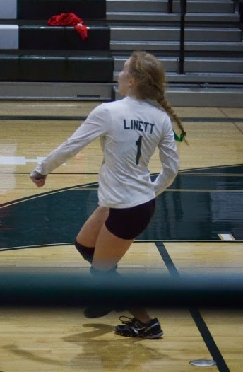 Amelia Linett