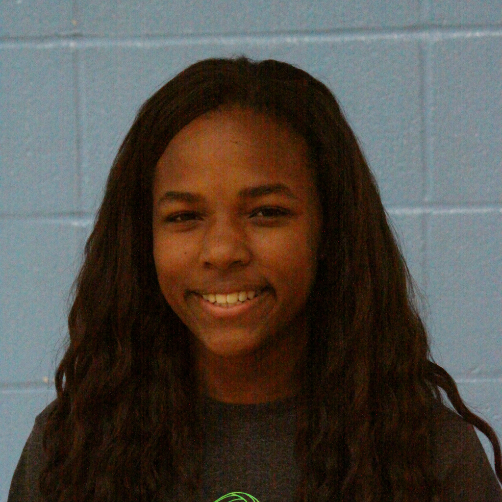Breanna Holmes mugshot