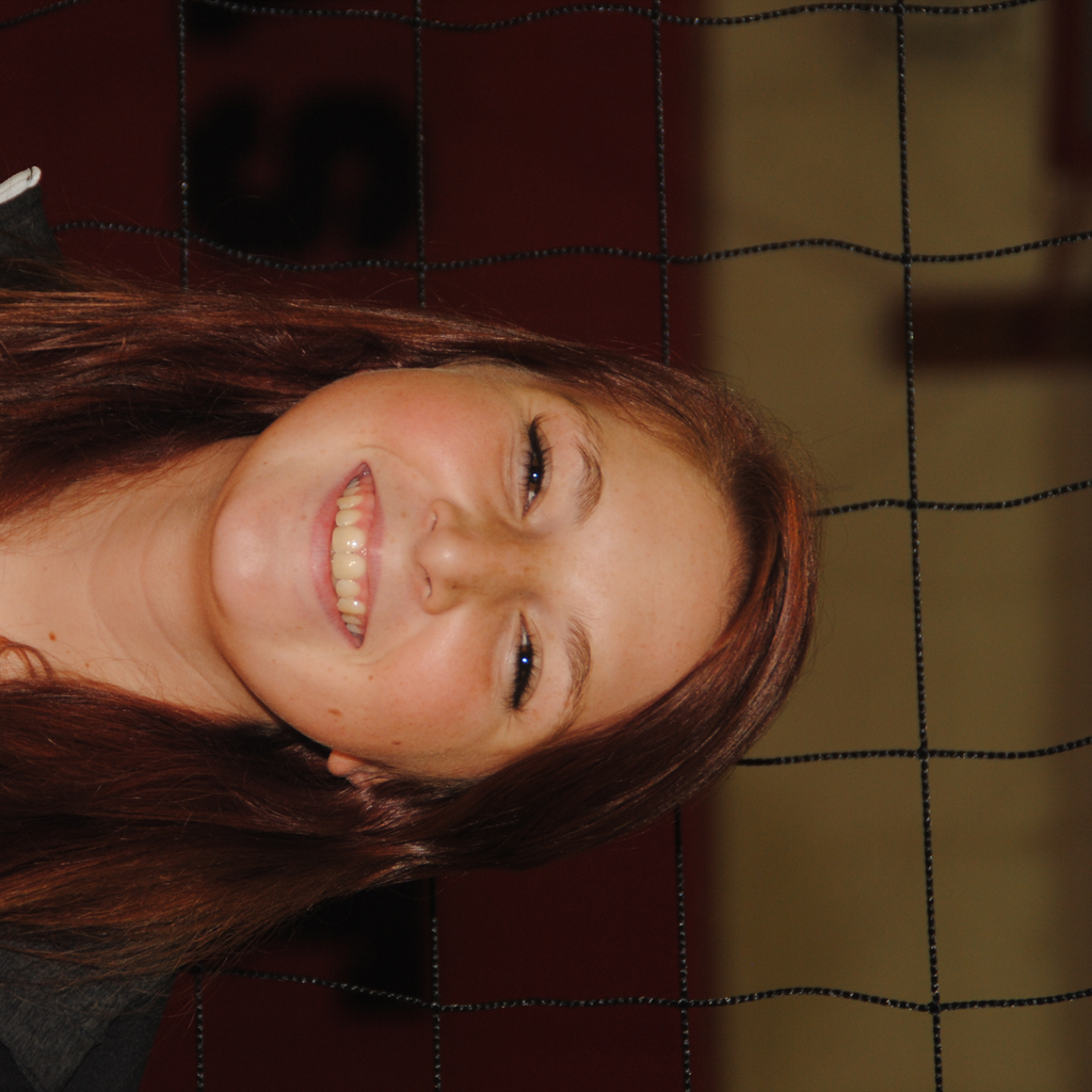 Hollie Irvin mugshot