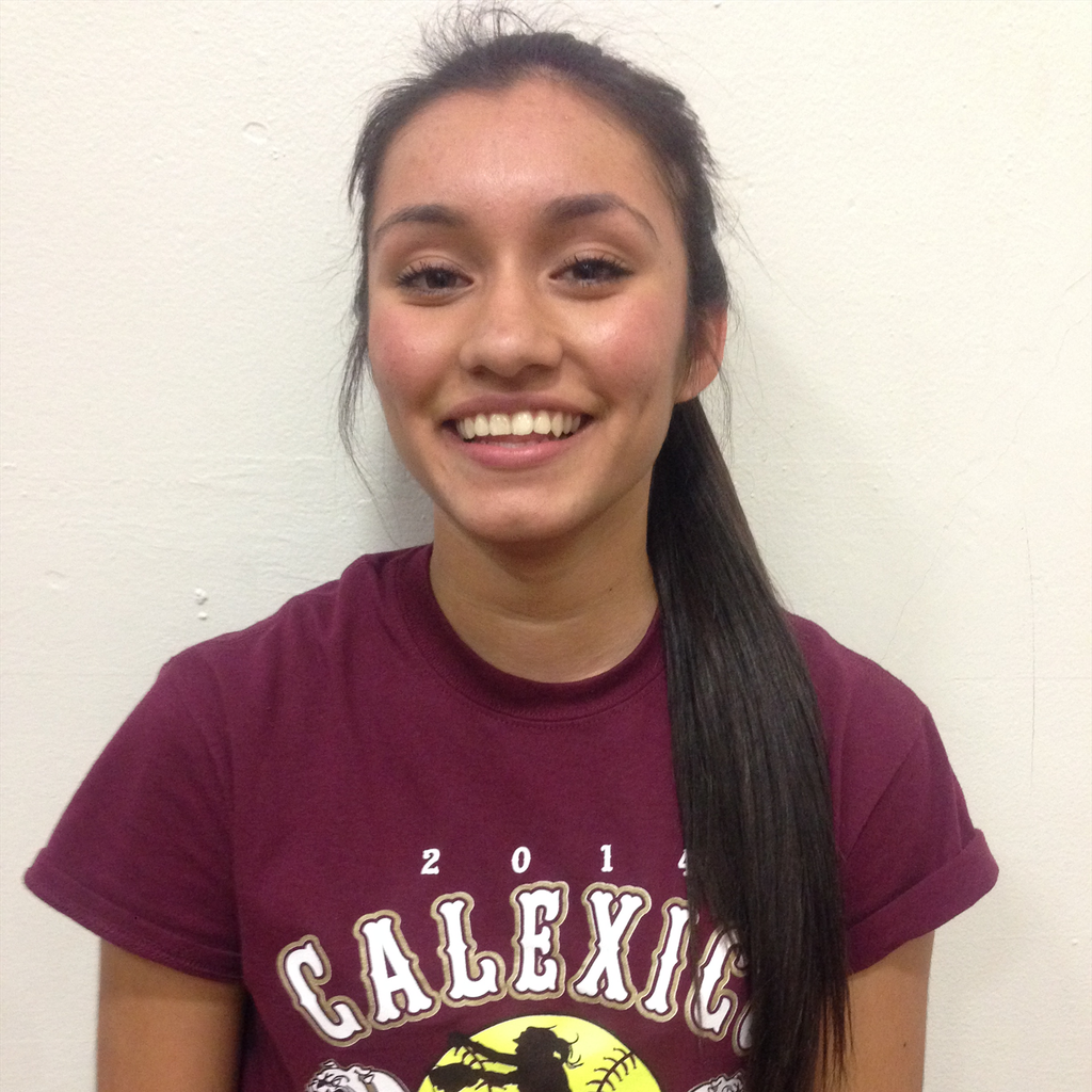 Melannie Ibarra mugshot