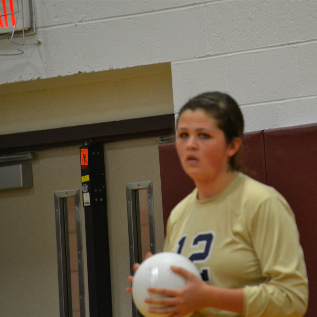 Taylor DiMartino