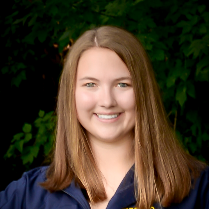 Libby Hanson mugshot