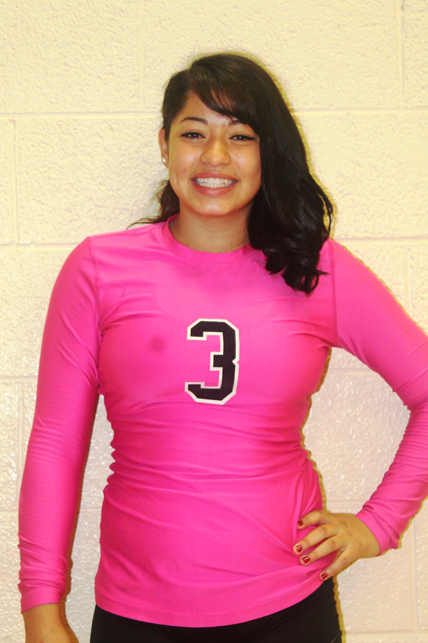 DIANA TORRES mugshot