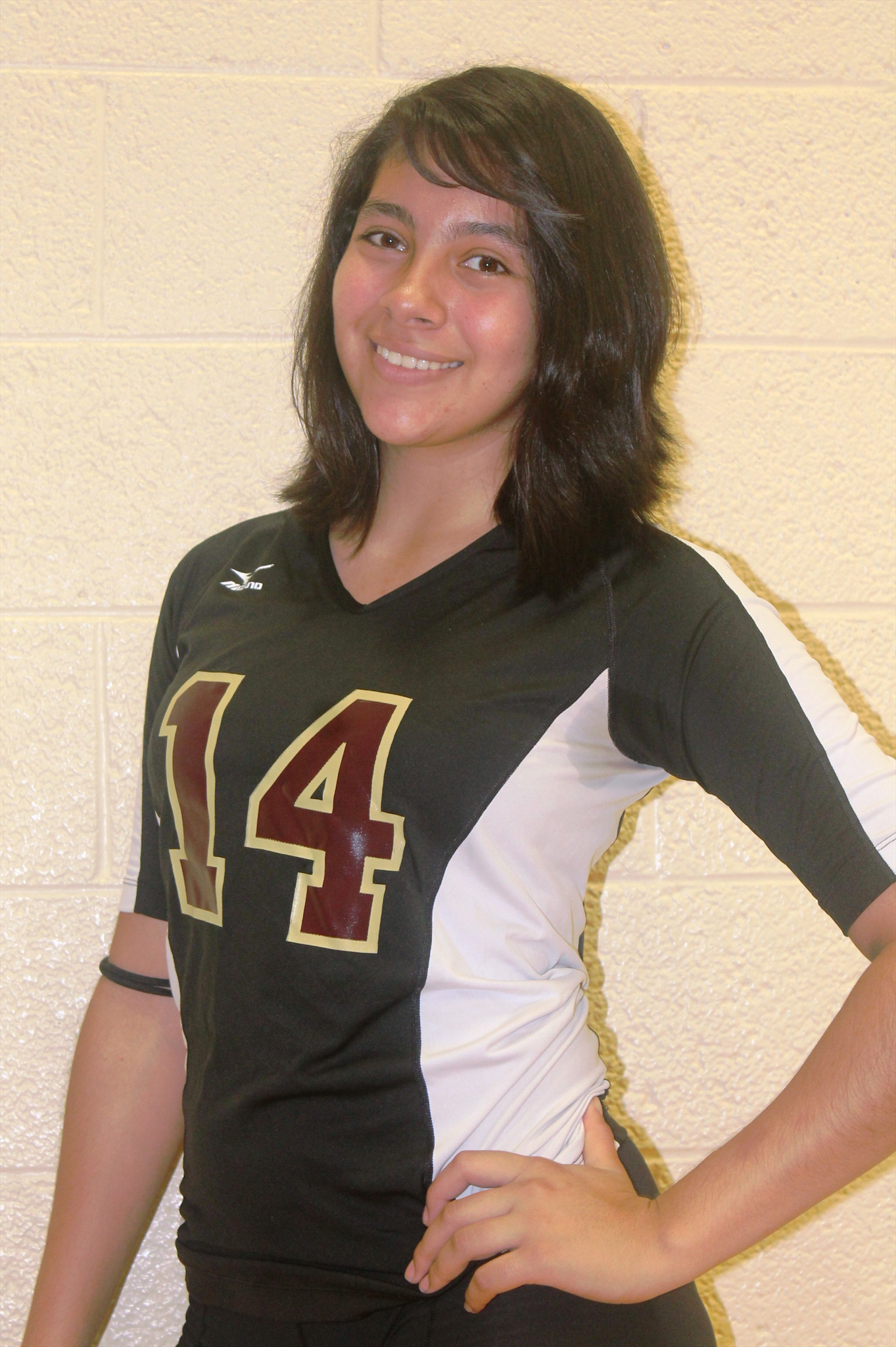 KARINA ERREGUIN mugshot