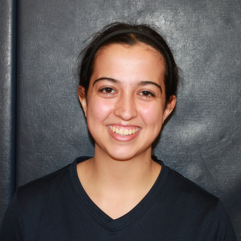 AnaLisa Ortiz mugshot