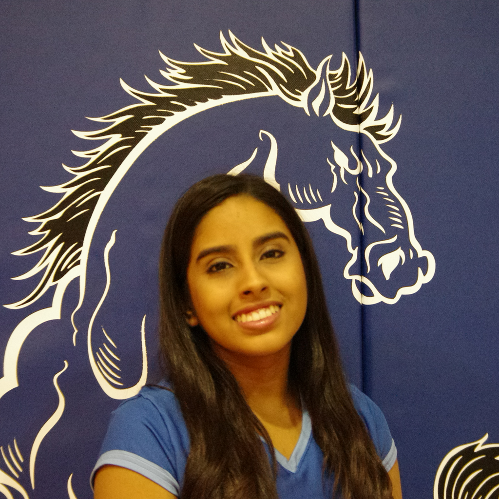 Perla Flores mugshot
