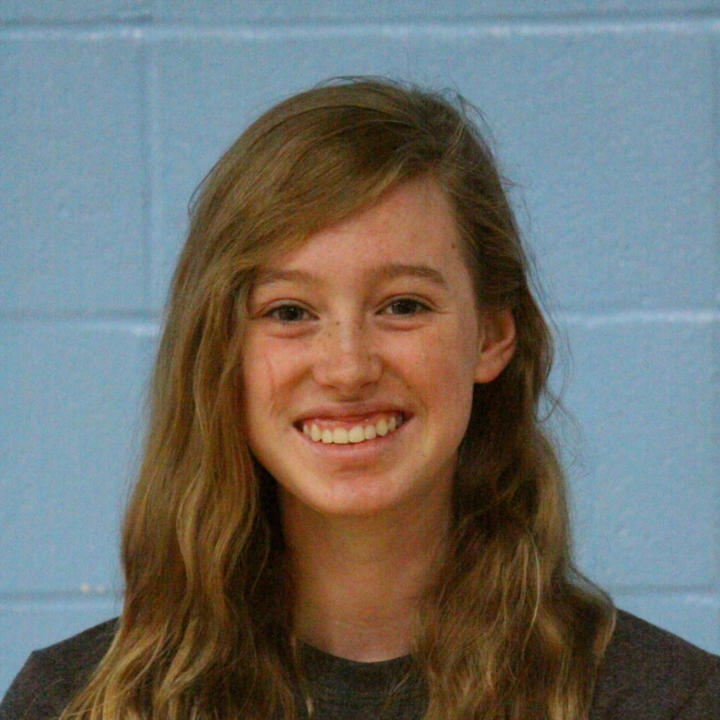 Stacye Cook mugshot