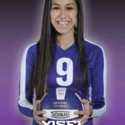 Yisel Perez mugshot
