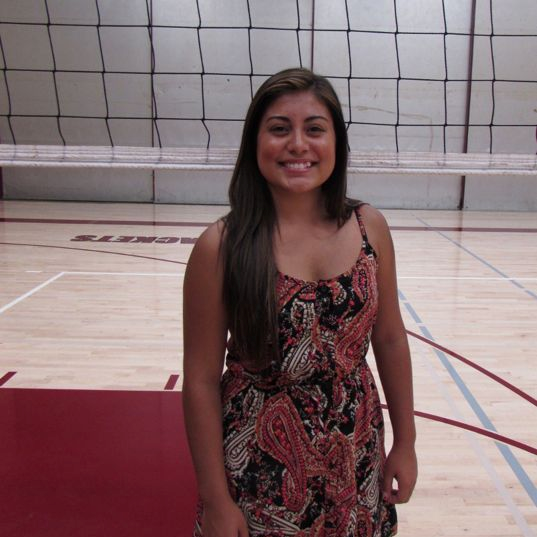 Rayleen Sanchez mugshot