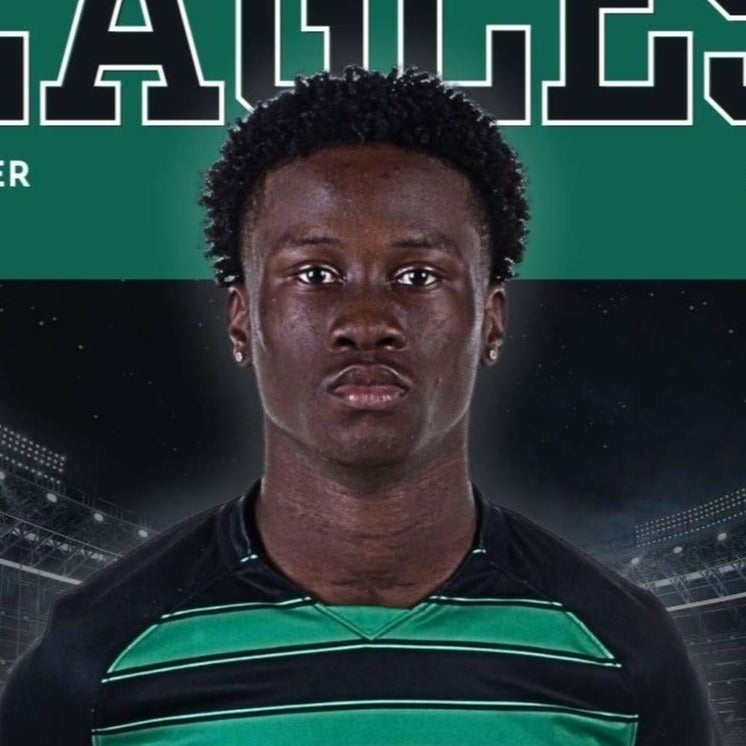 Brandon Ashirifie mugshot