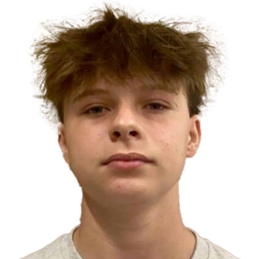 Dominic Lenzi mugshot