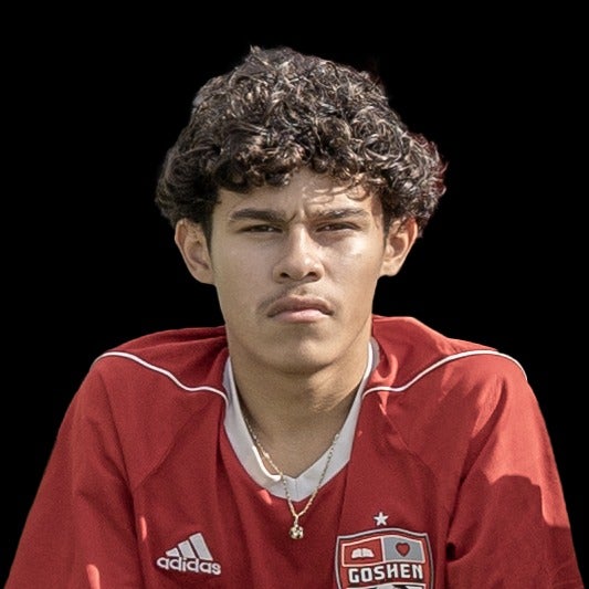 Andy Guzman mugshot