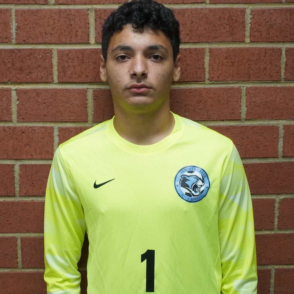 Ali Safwat mugshot