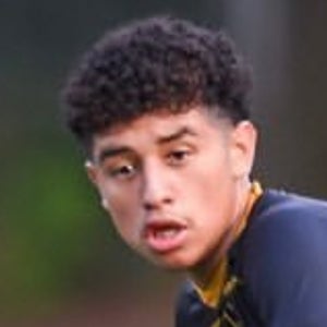 Josue Saguilan-Quiterio mugshot