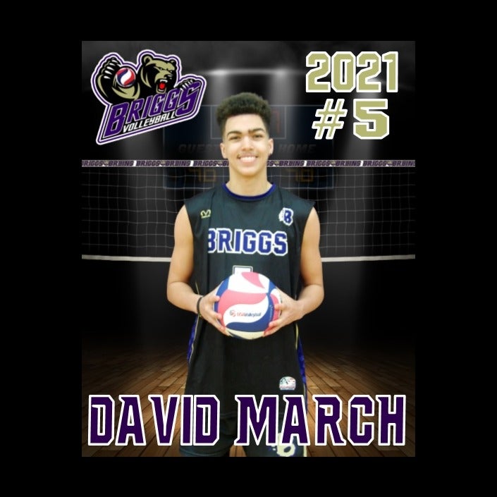 DAVID MARCH