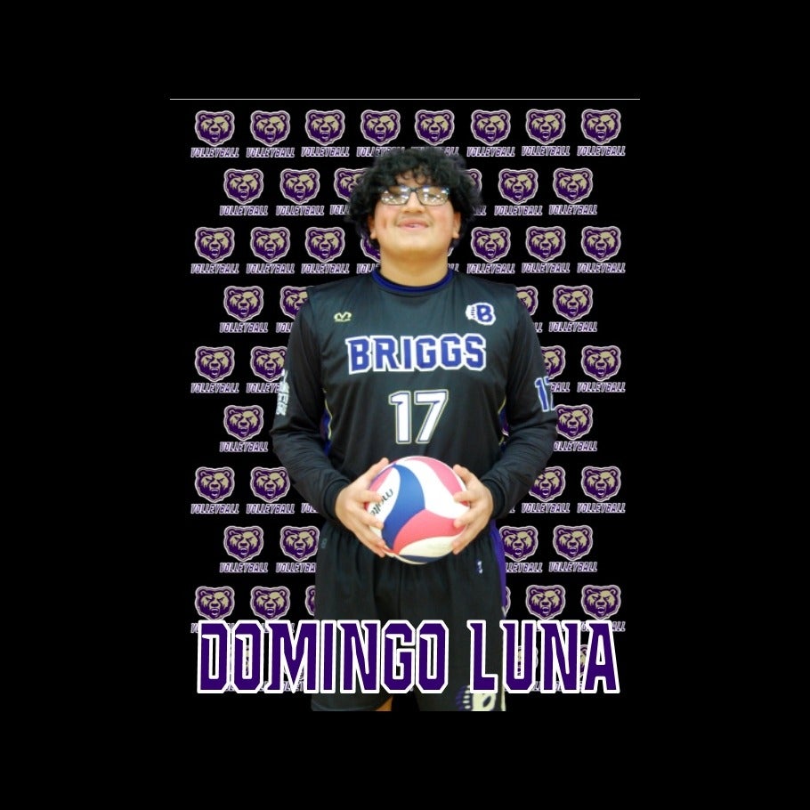 DOMINGO LUNA  mugshot