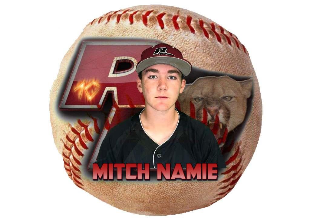 Mitch Namie