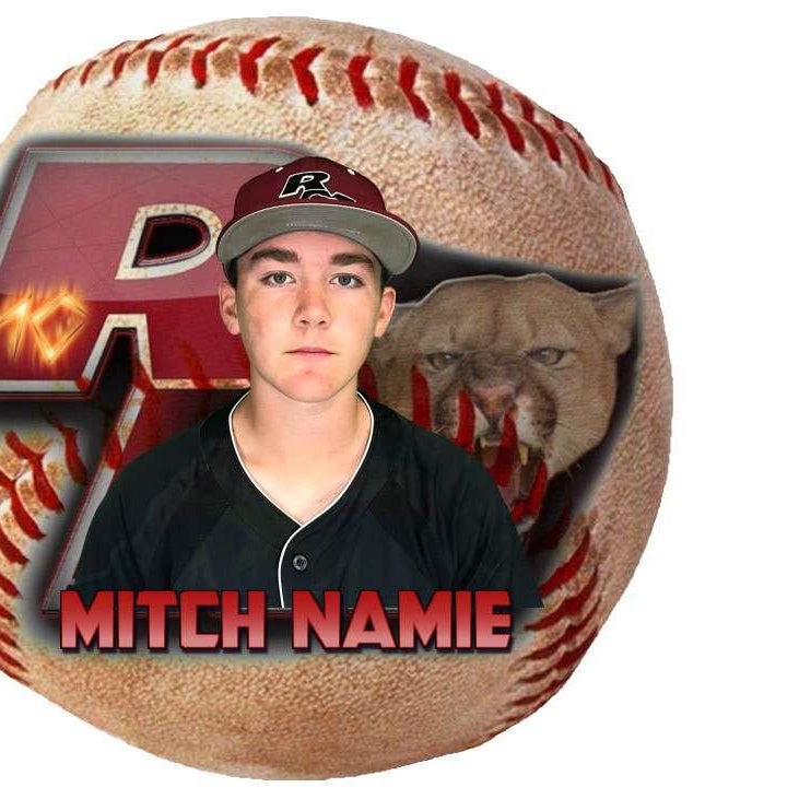 Mitch Namie mugshot