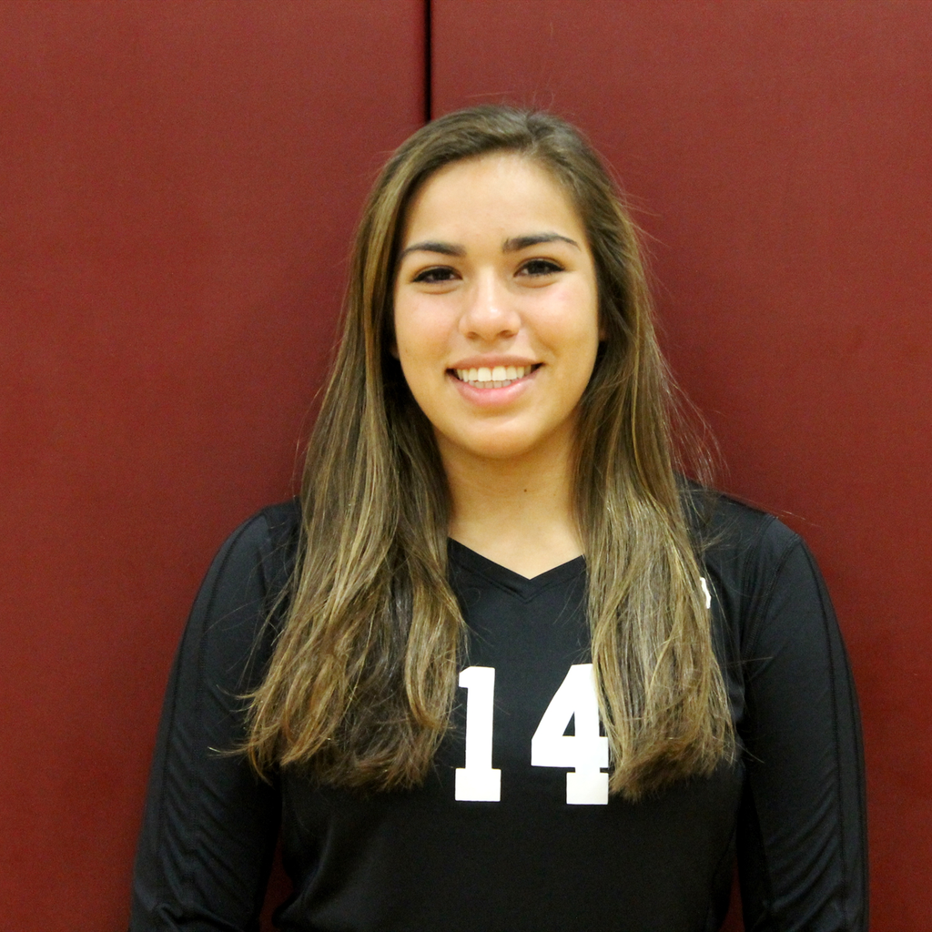 Emily Guerra mugshot