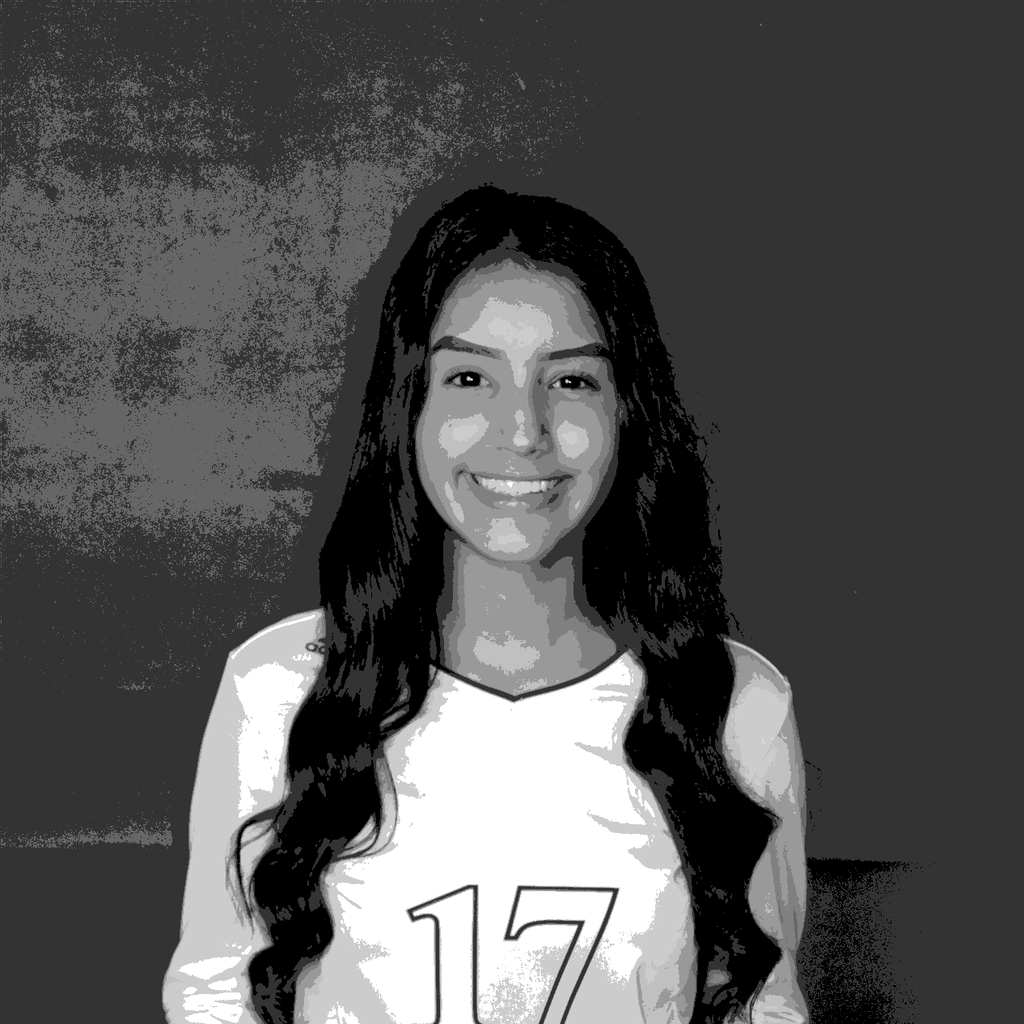 Jazlyn Herrera mugshot