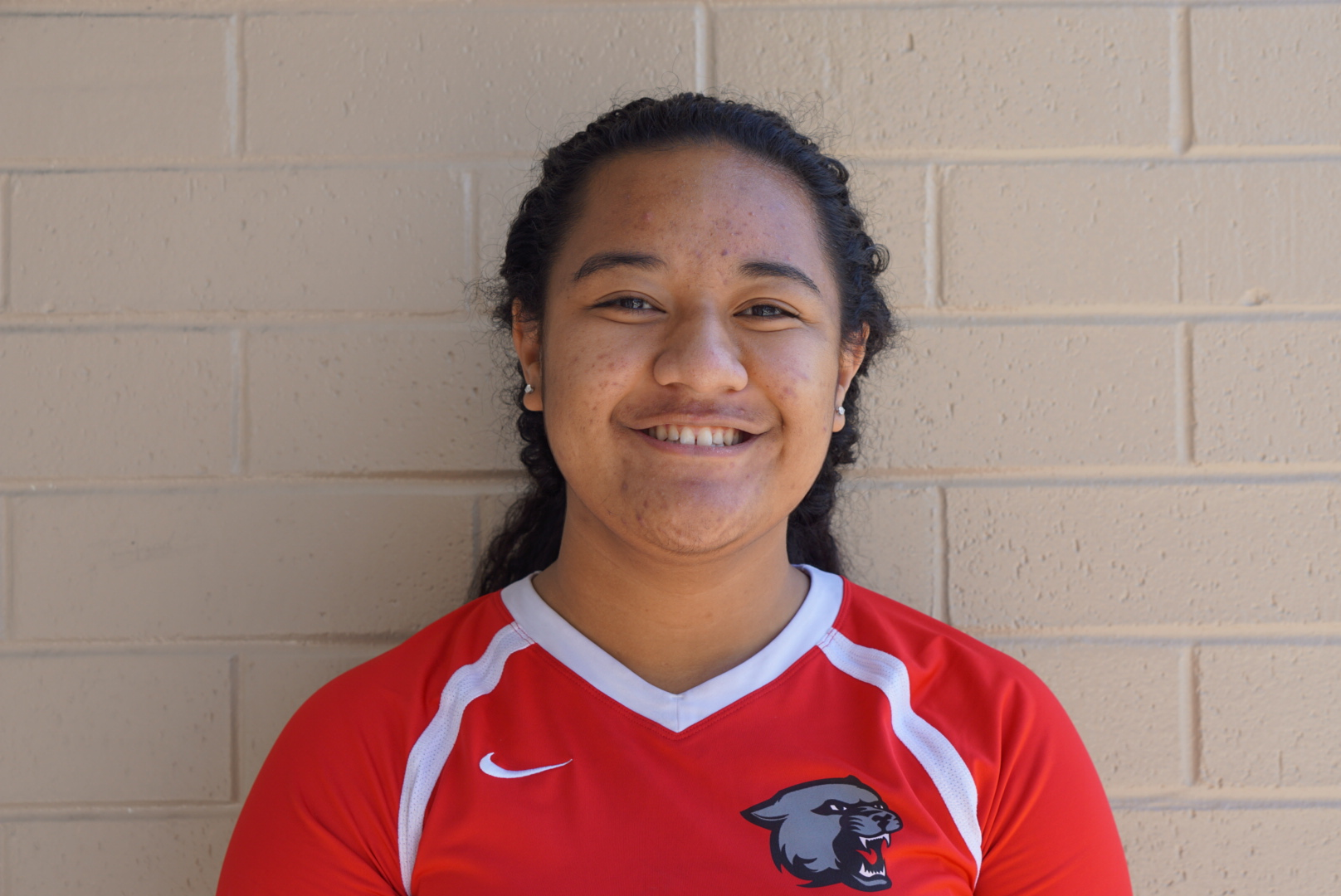 Leinata Leakehe
