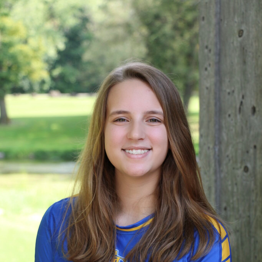 Lindsey Voigt mugshot