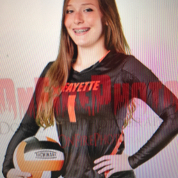 Gracie Stier