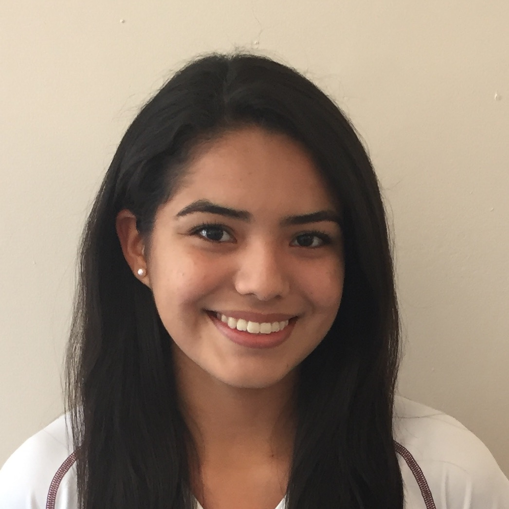 Karime Meza mugshot