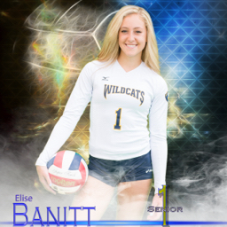 Elise Banitt mugshot