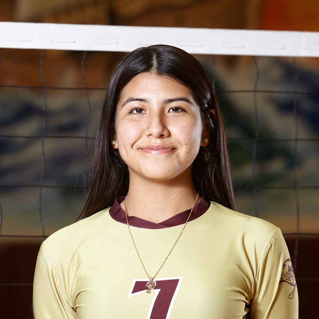 Flor Mendez mugshot