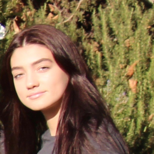 Skyla Towner mugshot