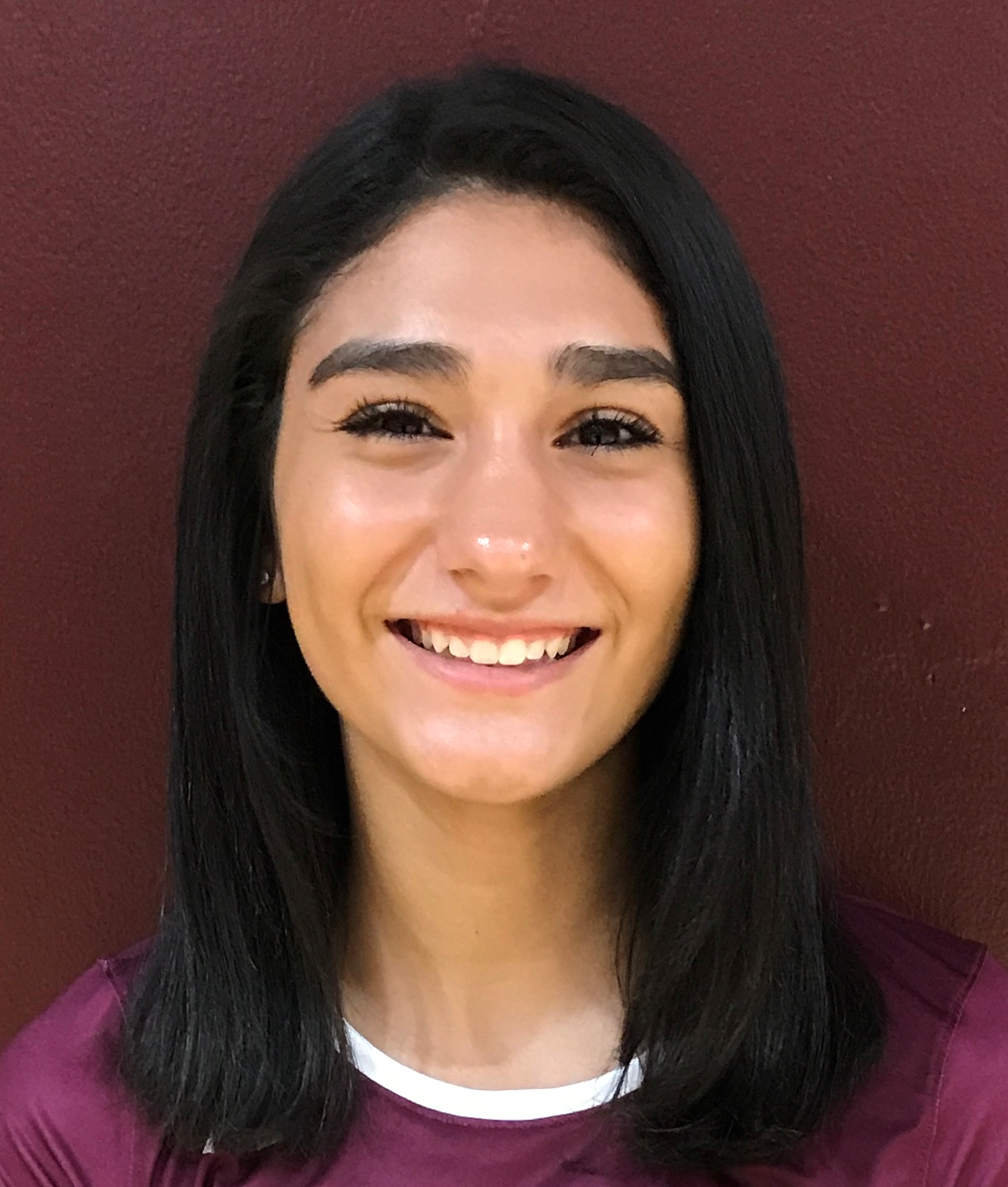Toni Ramirez mugshot