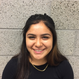 Anahie Silva mugshot