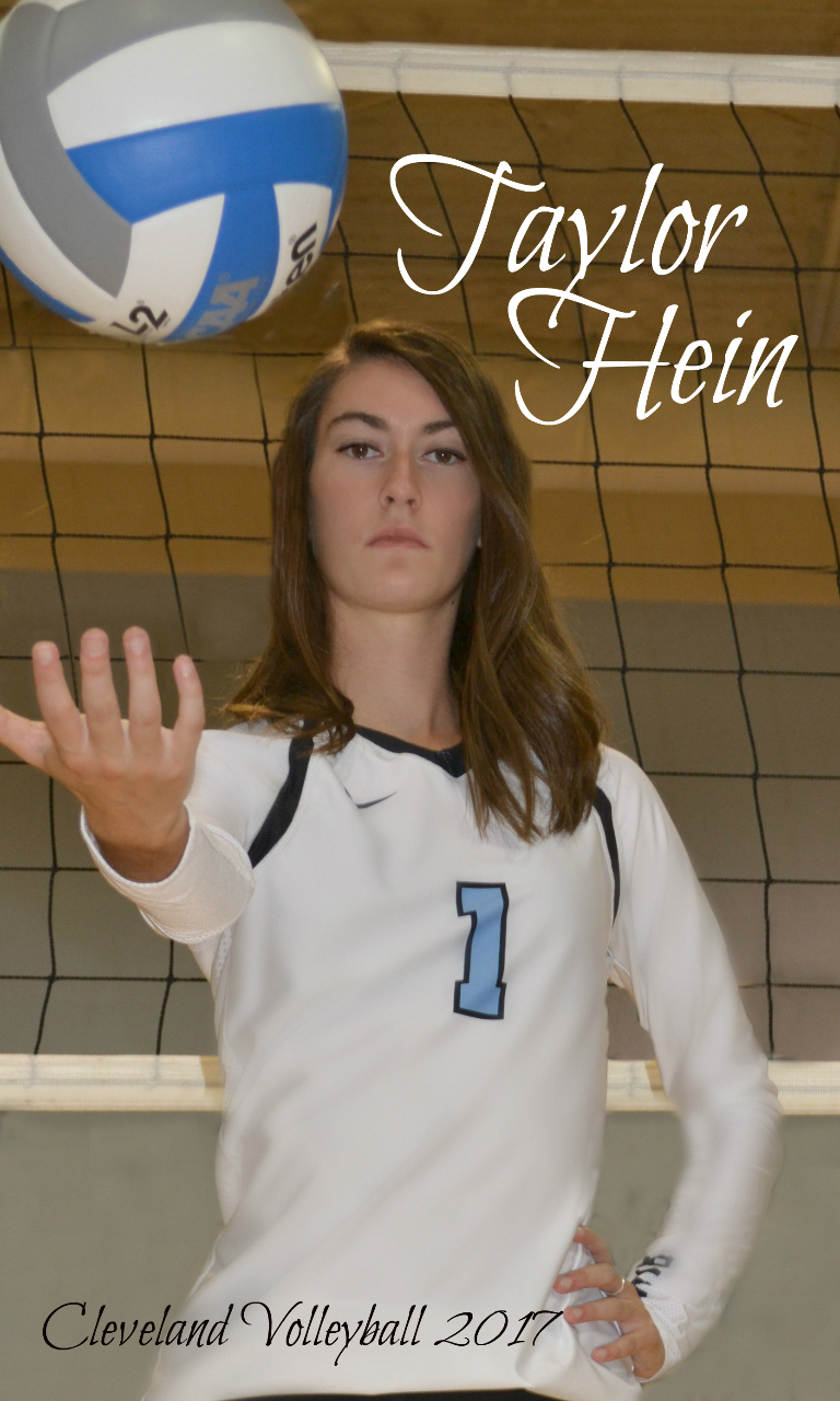 Taylor Hein