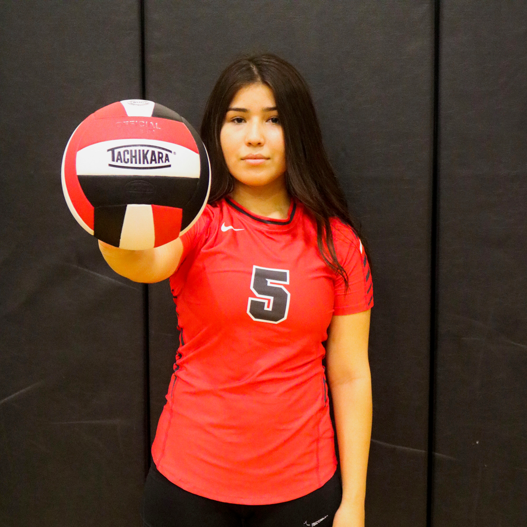 Ayleen Rodriguez mugshot