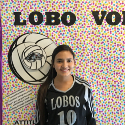 SOFIA HERNANDEZ mugshot