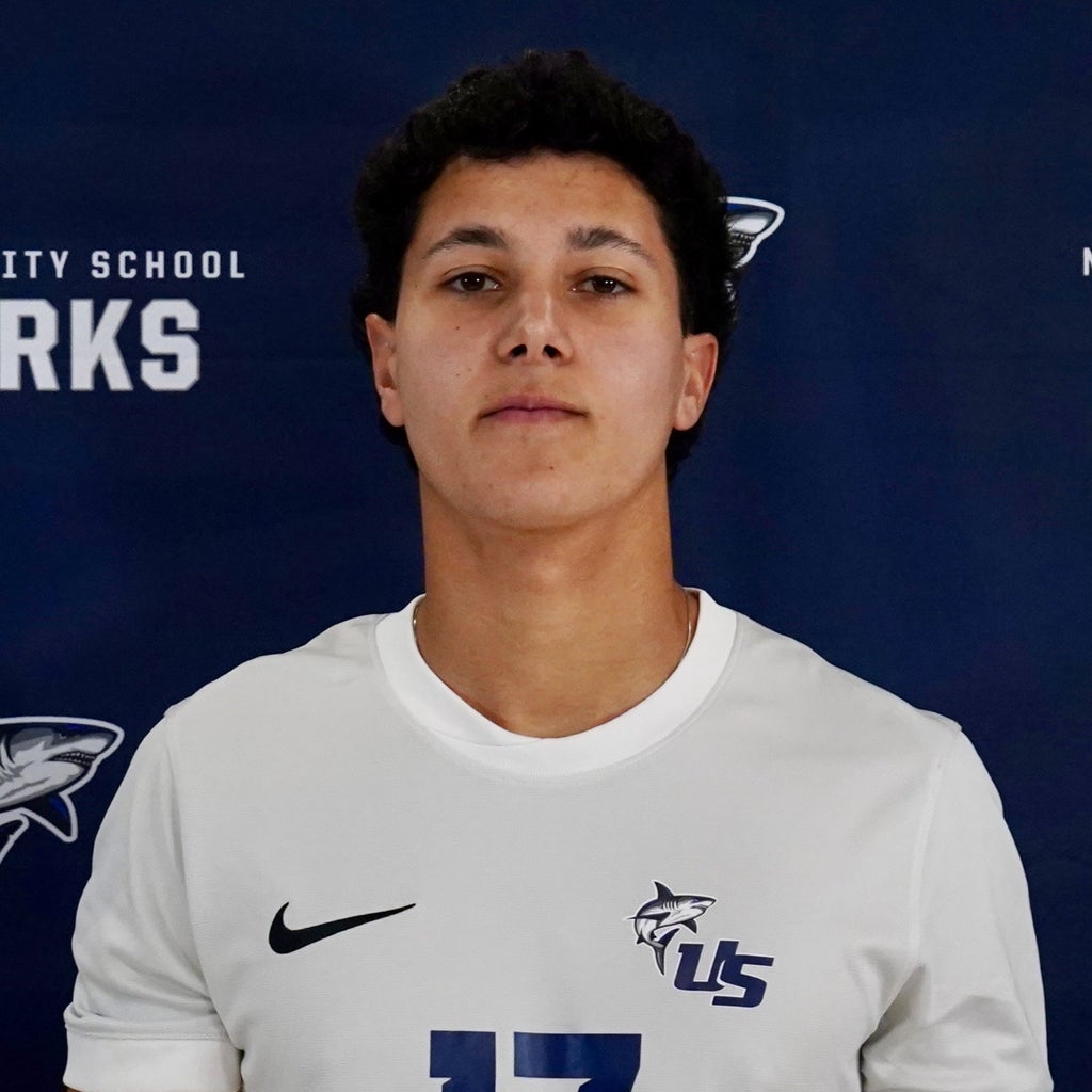 Benicio Ferro mugshot