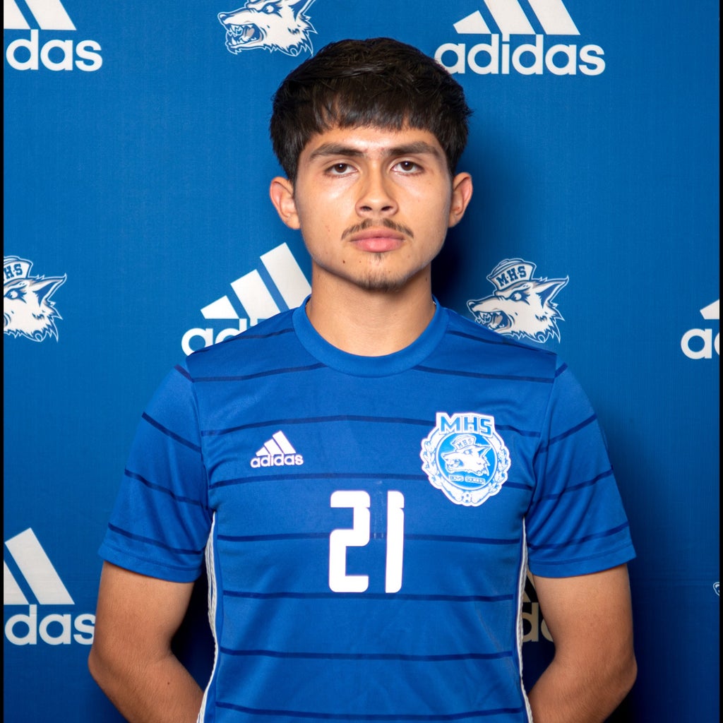 Nicolas Villegas mugshot