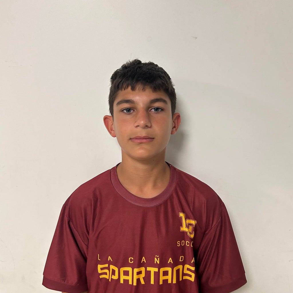 Mels Soghomonyan mugshot