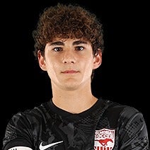 Radovan Lekic mugshot