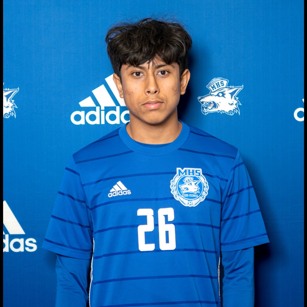 Jahir Medina mugshot