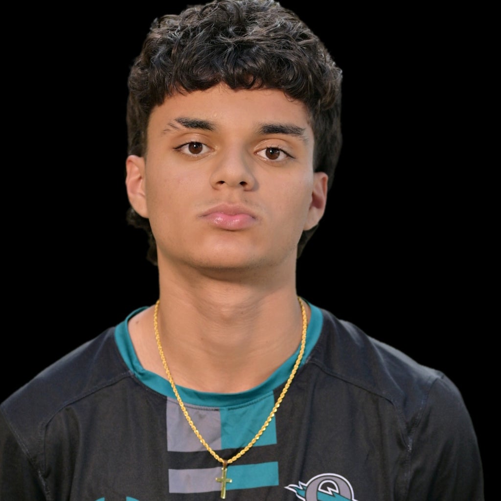 Sabastian Silva mugshot